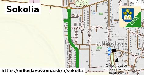 ilustrácia k Sokolia, Miloslavov - 0,79 km