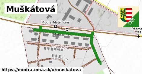 Muškátová, Modra