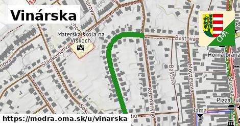 Vinárska, Modra