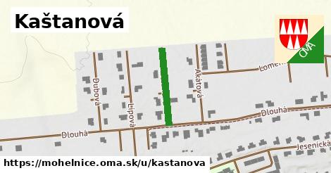 Kaštanová, Mohelnice