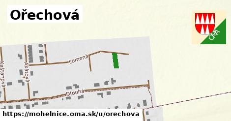 Ořechová, Mohelnice