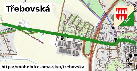 ilustrácia k Třebovská, Mohelnice - 1,44 km