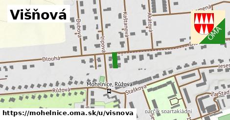 Višňová, Mohelnice