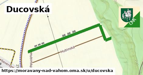 ilustrácia k Ducovská, Moravany nad Váhom - 512 m