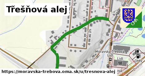 Třešňová alej, Moravská Třebová