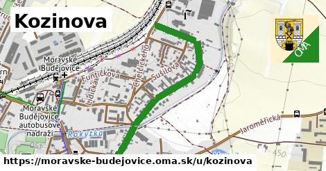 ilustrácia k Kozinova, Moravské Budějovice - 0,92 km