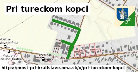 ilustrácia k Pri tureckom kopci, Most pri Bratislave - 439 m