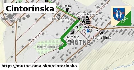 Cintorínska, Mútne