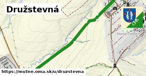 ilustrácia k Družstevná, Mútne - 1,27 km