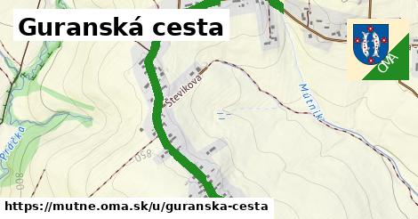 Guranská cesta, Mútne