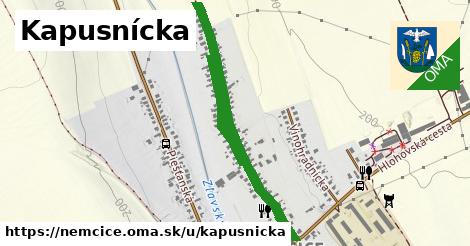 ilustrácia k Kapusnícka, Nemčice - 1,23 km