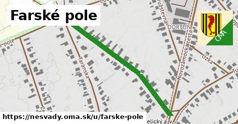 Farské pole, Nesvady