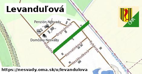 Levanduľová, Nesvady