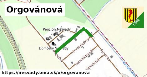 Orgovánová, Nesvady