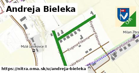 Andreja Bieleka, Nitra