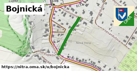 ilustrácia k Bojnická, Nitra - 237 m