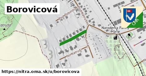Borovicová, Nitra