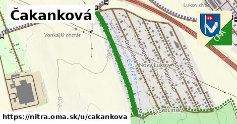 ilustrácia k Čakanková, Nitra - 0,71 km