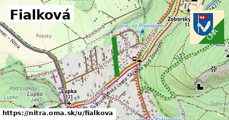 ilustrácia k Fialková, Nitra - 253 m