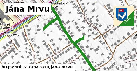 Jána Mrvu, Nitra