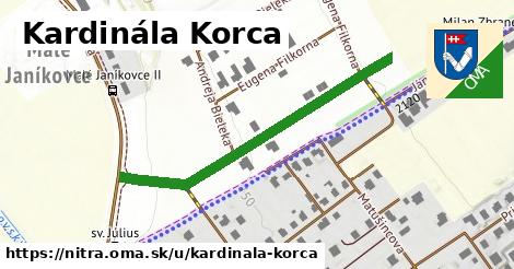 Kardinála Korca, Nitra