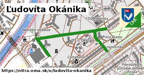 ilustrácia k Ľudovíta Okánika, Nitra - 621 m