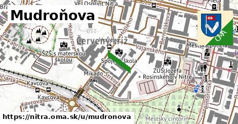 ilustrácia k Mudroňova, Nitra - 88 m