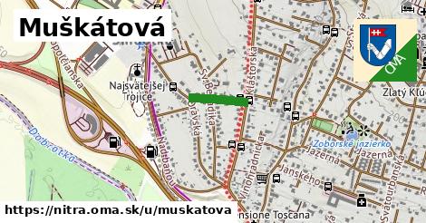 Muškátová, Nitra