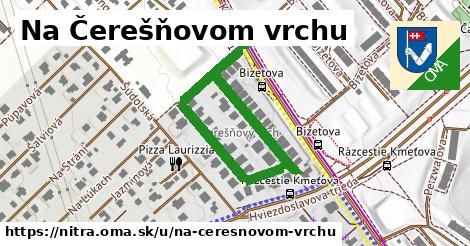 ilustrácia k Na Čerešňovom vrchu, Nitra - 587 m