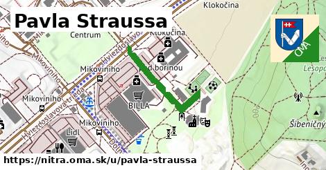 ilustrácia k Pavla Straussa, Nitra - 243 m