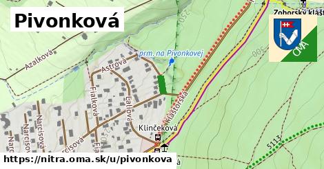 Pivonková, Nitra