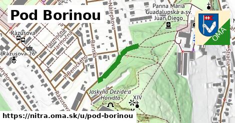 ilustrácia k Pod Borinou, Nitra - 175 m