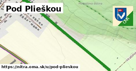 ilustrácia k Pod Plieškou, Nitra - 643 m