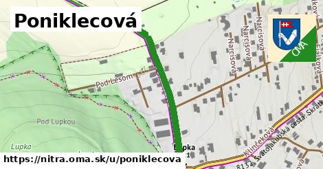 ilustrácia k Poniklecová, Nitra - 378 m