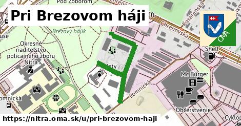 ilustrácia k Pri Brezovom háji, Nitra - 371 m