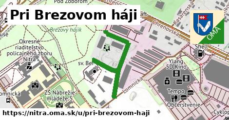 ilustrácia k Pri Brezovom háji, Nitra - 371 m