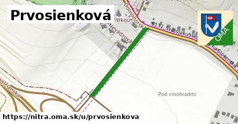 ilustrácia k Prvosienková, Nitra - 276 m
