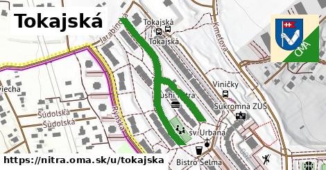 ilustrácia k Tokajská, Nitra - 480 m