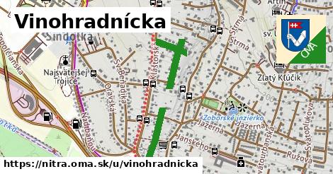 Vinohradnícka, Nitra