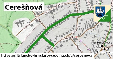 ilustrácia k Čerešňová, Nitrianske Hrnčiarovce - 0,78 km