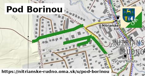 ilustrácia k Pod Borinou, Nitrianske Rudno - 621 m