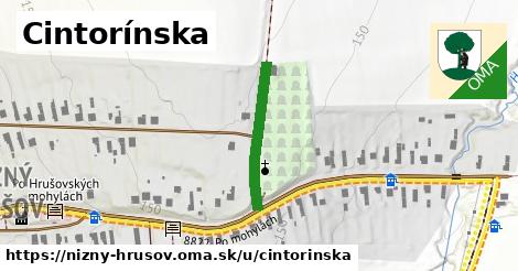Cintorínska, Nižný Hrušov