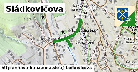 Sládkovičova, Nová Baňa