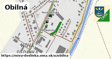 ilustrácia k Obilná, Nová Dedinka - 117 m