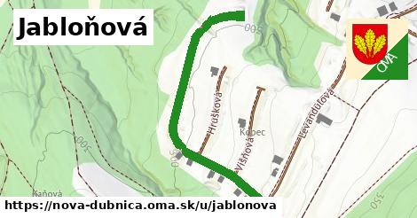 ilustrácia k Jabloňová, Nová Dubnica - 496 m