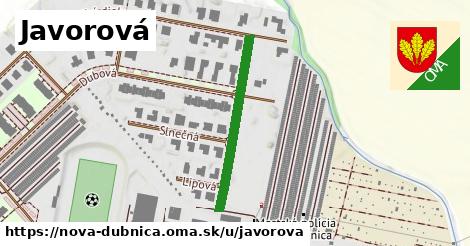 Javorová, Nová Dubnica