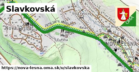 Slavkovská, Nová Lesná