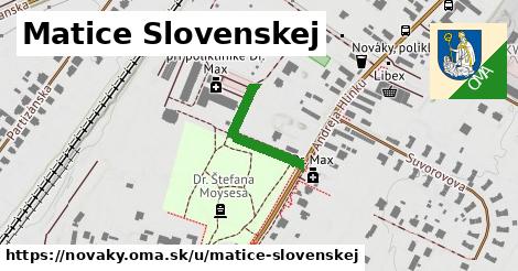 Matice Slovenskej, Nováky