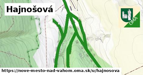ilustrácia k Hajnošová, Nové Mesto nad Váhom - 3,8 km