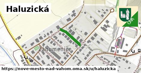 ilustrácia k Haluzická, Nové Mesto nad Váhom - 137 m